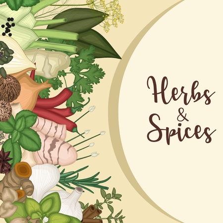 Vector illustration of Background design with herbs and spicesのイラスト素材