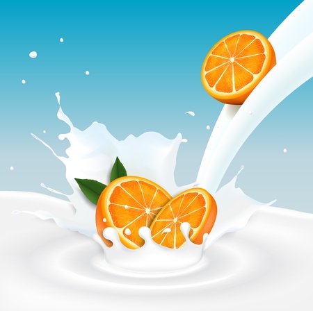 Vector illustration of Orange fruits and milk splashのイラスト素材