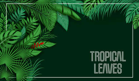 Tropical leaves background with jungle plantsのイラスト素材