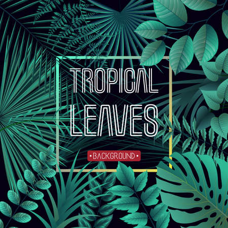 Tropical leaves background with jungle plantsのイラスト素材