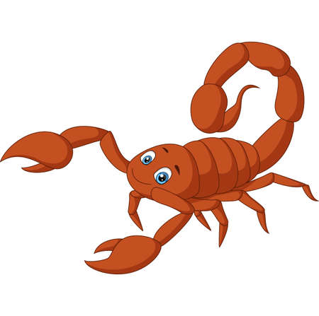 Cute scorpion cartoon on white backgroundのイラスト素材