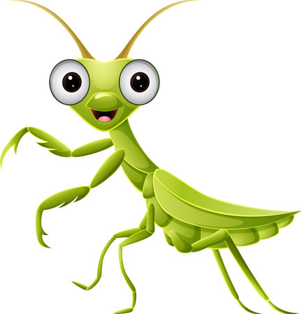 Cute green mantis on white backgroundのイラスト素材