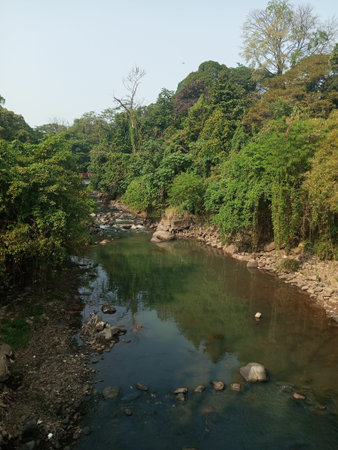 A tranquil riverside scene surrounded by lush greenery, dappled sunlight, and natural beauty....