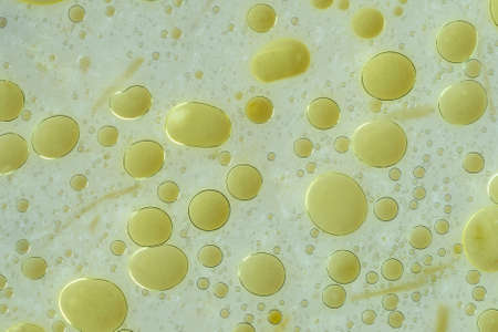 Abstract background with golden-yellow oil dropsの写真素材