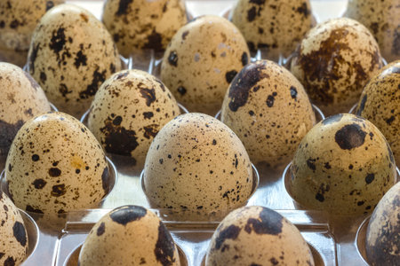 Quail eggs in a plastic container