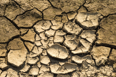 The texture of a cracked ground occured after drought for use as a background.