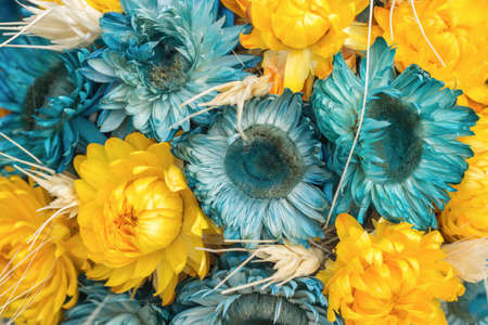 Blue and yellow decorative dried flowers arranged in a bouquet, full-frame background texture.の写真素材