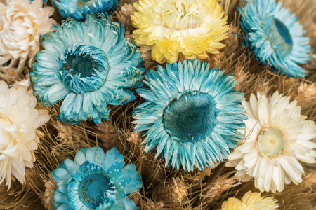 Decorative dried flowers arrangements, background texture.