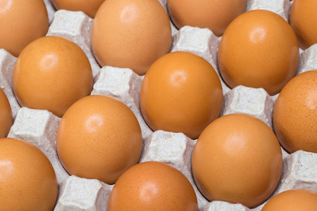 Fresh eggs evenly arranged in an egg container. Food background.