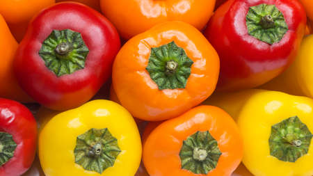 Colorful varieties of mini paprika. Miniature bell-shaped peppers. Food background.の写真素材