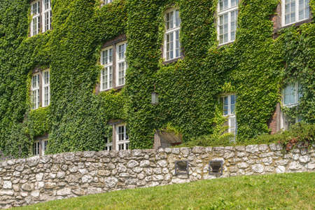 Cracow, Poland - 4th of July 2021: A part of Wawel Castle Complex with an ivy-covered facade.のeditorial素材