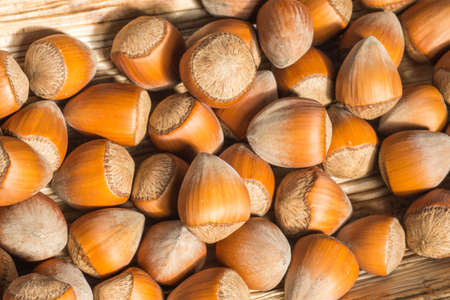 Group of hazelnuts in the husks on pressed palm leaf.の写真素材