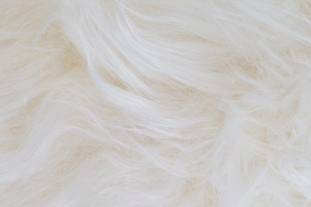 Sheepskin. Natural fur texture. Soft white background