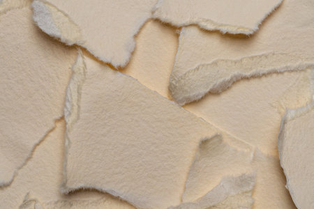 Ripped fragments of old-style paper. Torn paper pieces