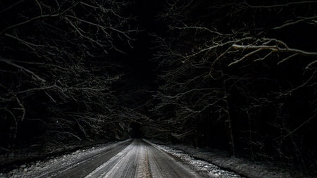 Car lights of night car driving on snowy forest roadの写真素材