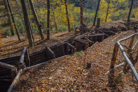 Exploring an autumn scene of rustic wooden trenches surrounded by vibrant trees and fallen leaves in a serene forestの写真素材