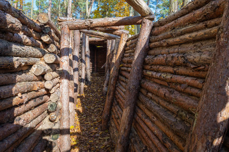 Reconstruction of an ancient log fort in a wooden area during autumn, showing natural building...