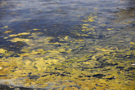 The water is disappearing, dried lake. A large amount of trash polluting our waters.