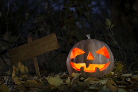 Halloween pumpkin at nightの写真素材