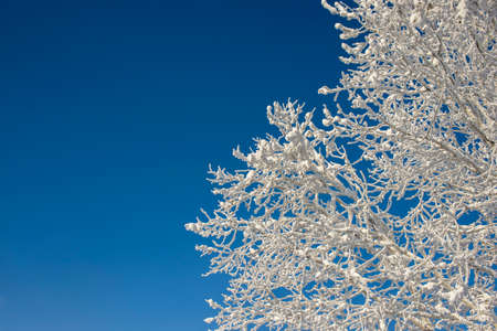 Beautiful snow winter pattern in Siberiaの写真素材