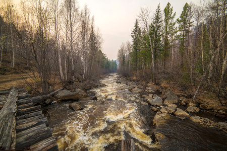 Beautiful view of the river in Siberia in Russiaの写真素材