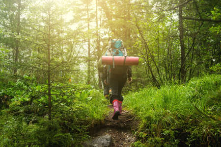 the girl with the backpack in the woods moving along a mountain pathの写真素材
