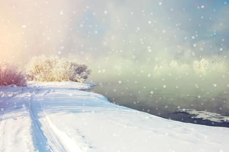 Frosty morning, fluffy snow covered the trees in the light of the sun. a beautiful winter landscape.の写真素材