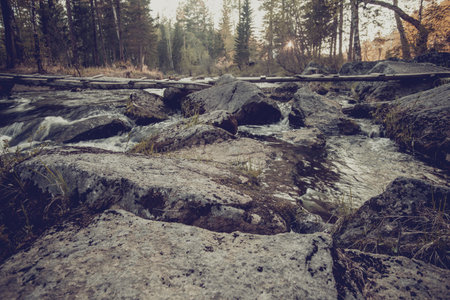 Mountain river flowing through the green forest. Fresh spring the stream of clean water....