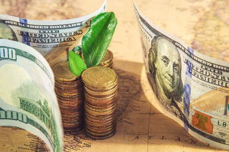 Green plant growing on money coins under world map background, business and investment conceptの写真素材