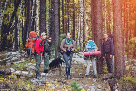 group of friends with a backpacks going up the path in the mountain forest, the concept of...