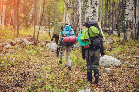 group of friends with a backpacks going up the path in the mountain forest, the concept of...