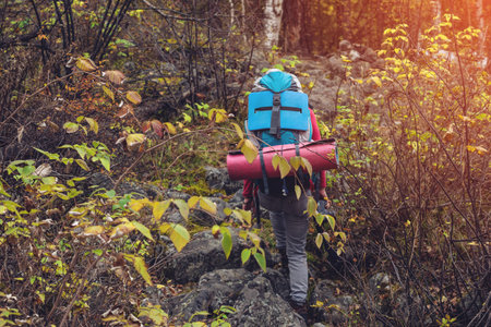 girl with a backpack going up the path in the mountain forest, the concept of ecological active...