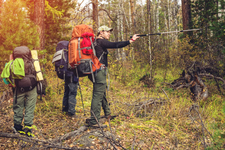 group of friends with a backpacks going up the path in the mountain forest, the concept of...