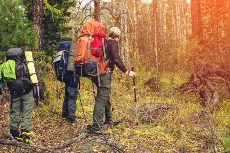 group of friends with a backpacks going up the path in the mountain forest, the concept of...