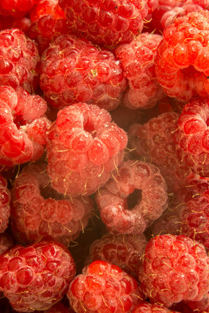 Fresh raspberries background closeup photo
