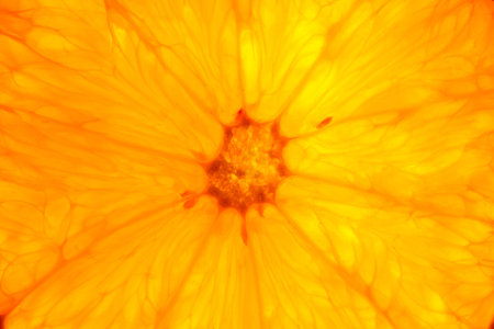 fresh cut orange background