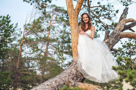 Wedding photo shooting. Bride siting on the tree. Wearing white dress. Outdoorの写真素材