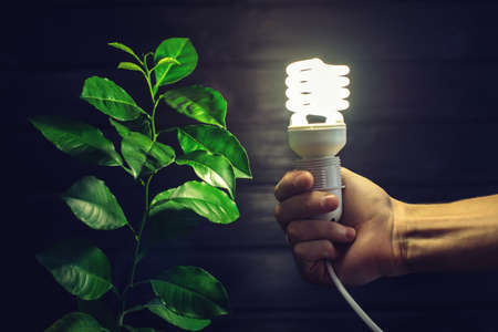 Male hand holding a glowing light bulb and the green sprout of a young tree, plants on a dark wooden background. Concept of environmental energy, ecology of the planet, careful use of electricityの写真素材