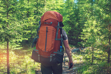 Healthy Active man with backpack hiking in beautiful mountain forest in the summer in the sun. The...