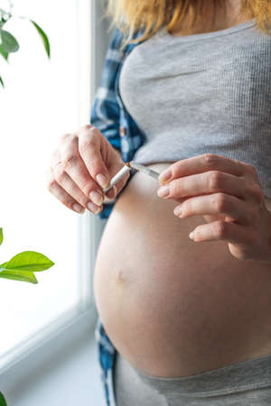 Pregnant woman with belly breaking a cigarette with your hands. The concept of stop Smokingの写真素材