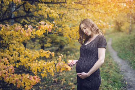 Beautiful portrait of pregnant woman belly in a warm knitted dress in colorful autumn forest in September. The concept of pregnancy and the seasonsの写真素材