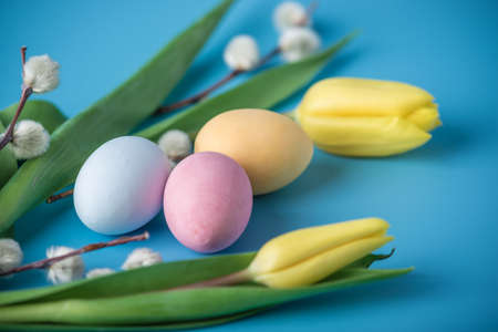 Colorful bright Easter eggs with yellow Tulip hand painted on a blue background. Holiday spring cardの写真素材
