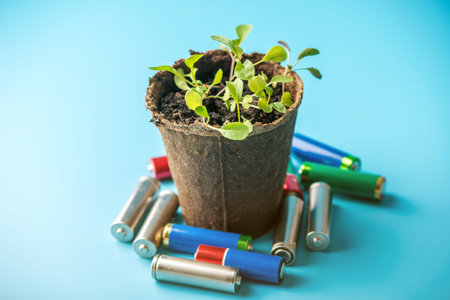 Used alkaline batteries lie with sprouted green plants. The concept of environmental pollution with...