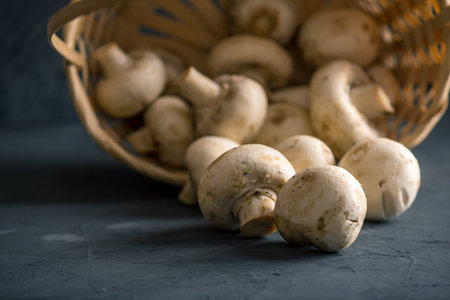 Fresh white Champions in the basket on the dark kitchen table. Cooking delicious dishes with mushroomsの写真素材