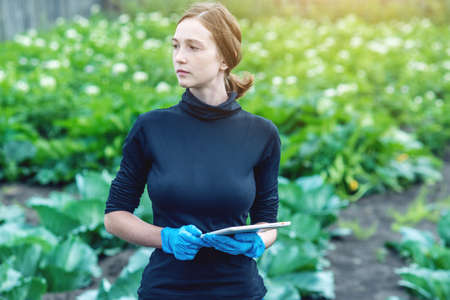 Woman specialist agronomist holding a tablet in hand. The concept of agricultural farms and quality controlの写真素材