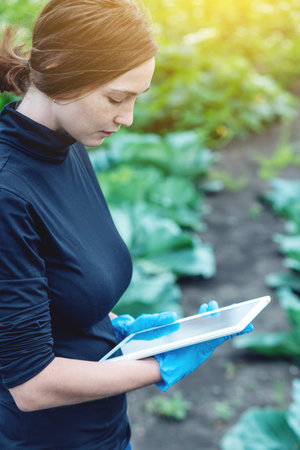 Woman agronomist specialist on the farm field using a tablet. The concept of quality control in the...