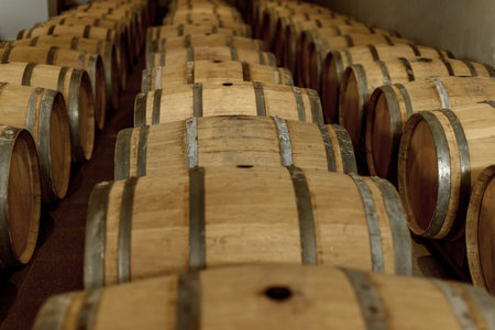 Wine oak barrels in which red wine is aged in the cellar of the winery. The concept of the...