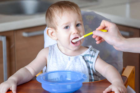 Little baby boy eats opening his mouth wide sitting on a chair in the kitchen. Mom feeds holding in hand a spoon of porridgeの写真素材
