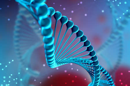 3d Illustration of DNA molecule. The helical molecule of a nucleotide in the environment of the organism like in space. The concept genome and modification of the bodyの写真素材