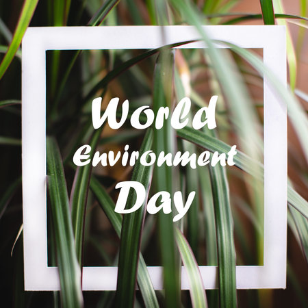 Square frame with world environment day text on green plant leaves background. Concept card on the...